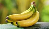 Saiba como fazer com que bananas amadureçam mais ou menos rápido