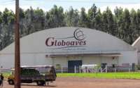 Globoaves propõe venda de patrimônio e leilão para pagar dívidas