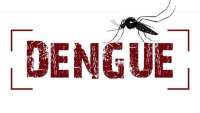 Pinhão - Secretaria de Saúde confirma primeiro caso de dengue