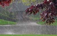 Com influência de La Niña primavera deve trazer chuvas no Paraná