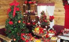 Nova Laranjeiras - Cras oferece curso de decorações natalinas