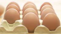 Quais são as recomendações para o consumo do ovo?