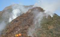 Clima aumenta riscos de incêndios florestais