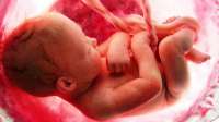 Cordão umbilical é o primeiro brinquedo do bebê. Confira!