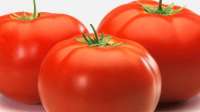 Maior ingestão de tomates pode prevenir câncer de próstata