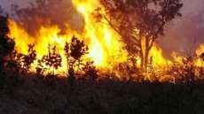 Reserva do Iguaçu - “Praticar queimada é crime”, alerta Conselho Municipal de Meio Ambiente