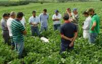 Com apoio da Emater, produtores de soja reduzem uso de agrotóxicos