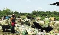 Paraná - 23% das cidades não devem se livrar de lixões a tempo