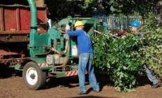 Laranjeiras - Copel providencia poda de árvores em vias públicas