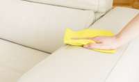 Saiba como eliminar manchas do sofá de forma rápida e prática