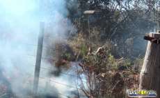 Laranjeiras - Incêndio ambiental é combatido pelos Bombeiros, no Centro de Eventos. Veja o vídeo