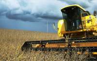 Paraná poderá colher safra de 37 milhões de toneladas de grãos