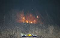 Laranjeiras - Corpo de Bombeiros atende incêndio próximo a Globoaves