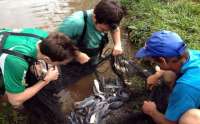 Laranjeiras - Programa de extensão da UFFS desenvolve a piscicultura junto a produtores familiares