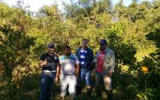 Nova Laranjeiras - Secretaria de Agricultura presta auxilio técnico em pomar na Reserva Indígena