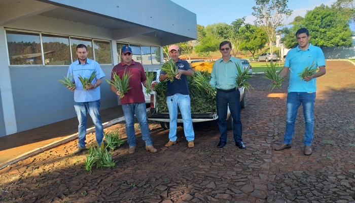 Campo Bonito - Secretaria de Agricultura atua em várias ações em apoio ao Produtor