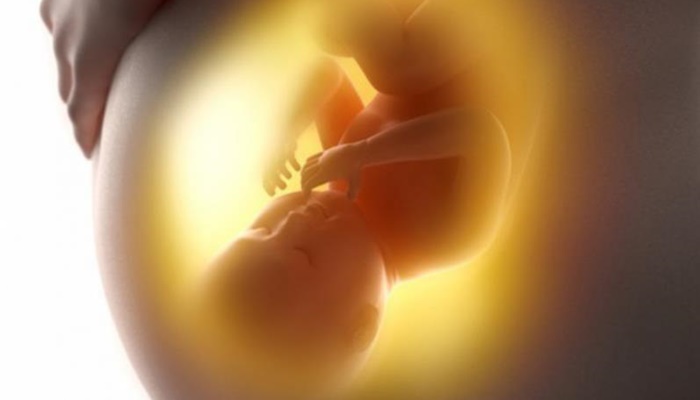 Porto Barreiro - Gestantes terão continuidade as consultas de pré-natal