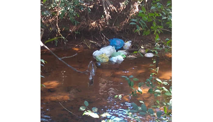 Campo Bonito - Crime Ambiental - Moradores reclamam de lixo doméstico jogado as margens do Rio Bandeira em Campo Bonito