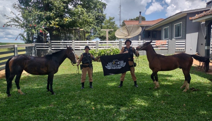 Reserva do Iguaçu - Patrulha Rural recupera cavalos furtados