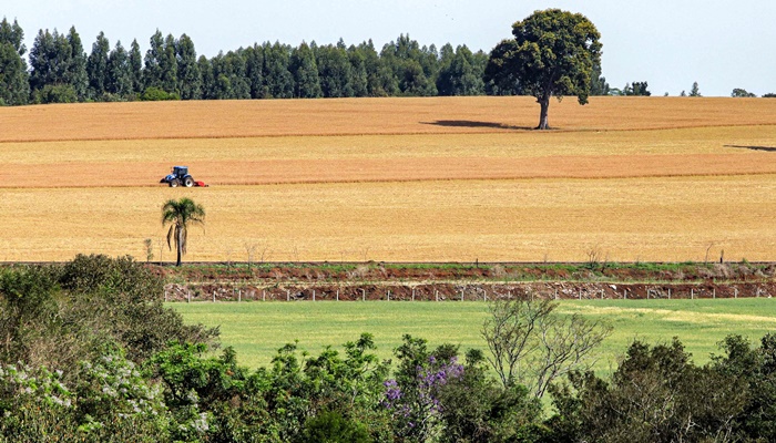  Com leis e programas, Paraná celebra pioneirismo na difusão da agricultura que cuida do solo