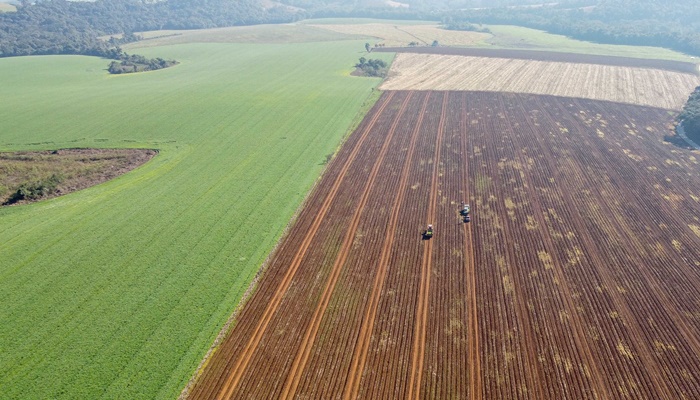  Governo do Estado divulga pesquisa com preços das terras agricultáveis no Paraná
