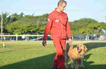  Com certificação nacional de duplas, Paraná amplia número de cães aptos para resgates
