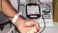Projeto de lei autoriza troca de pontos na CNH por doação de sangue