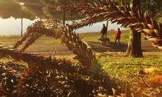 Depois de calor e frio, semana será de outono