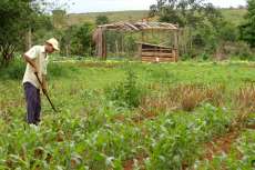 Agricultura familiar do Paraná receberá R$ 3,9 milhões de crédito