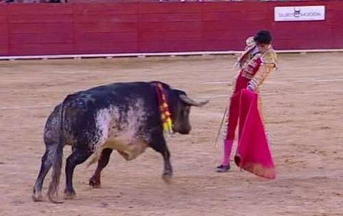 Homem morre após ser chifrado por touro em festival na Espanha