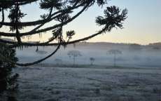 Massa de ar polar traz geada e mínimas negativas para o Paraná