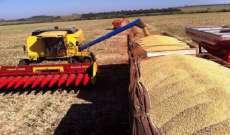 Safra de 2016 será maior para metade de produtos agrícolas, diz IBGE