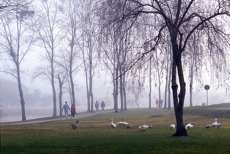 Paraná deve ter pelo menos mais uma onda de frio neste inverno