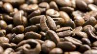 Brasil pode ter a segunda maior produção de café da história