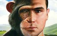 Estudos revelam que homem herdou violência letal de ancestrais primatas