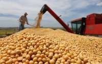 Agricultura prevê safra de 19 milhões de toneladas de soja