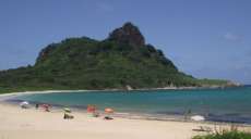Tubarão ataca turista paranaense em Fernando de Noronha e vítima perde mão e parte do braço