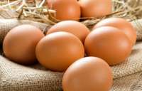 Comer ovos de manhã emagrece, mas e o dia todo? Saiba se a dieta do ovo faz mal