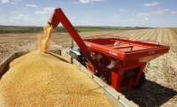 Safra de grãos deve ter recorde de 180 mi de toneladas, diz Conab