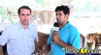 Guaraniaçu - Alexandre Weber, gerente da CRV Lagoa fala ao Portal Cantu sobre a conquista do 1º lugar na categoria jersey maior que 12 meses na Expoagro 2013