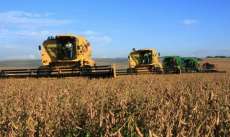 Bom desempenho agropecuário impulsiona o PIB no Paraná