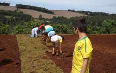 Cantagalo - Campos de futebol estão sendo gramados