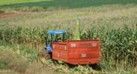 Candói - Patrulhas agrícolas entregues já estão sendo usadas para fazer silagem nas propriedades rurais