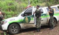 Três Barras - Polícia Ambiental e Rotam realizam operação Gralha Azul