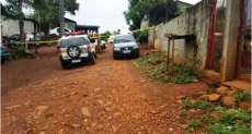 Homem é assassinado e decapitado em Francisco Beltrão
