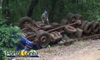 Guaraniaçu - Caminhão carregado de suínos tomba em estrada rural - Veja o vídeo