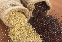 Quinoa e seus benefícios para a saúde