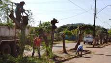 Três Barras - Prefeitura realiza poda de árvores no distrito de Santo Isidoro