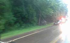 Catanduvas - Veículo sai da pista e bate em árvore na PR-471