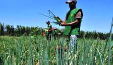 Prazo para agricultor saldar dívidas com o Pronaf termina dia 30